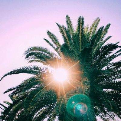 耳帝锐评周杰伦新专辑